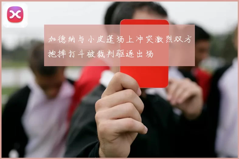加德纳与小皮蓬场上冲突激烈双方抱摔打斗被裁判驱逐出场