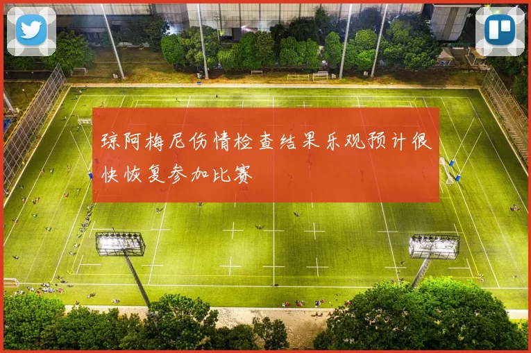 琼阿梅尼伤情检查结果乐观预计很快恢复参加比赛